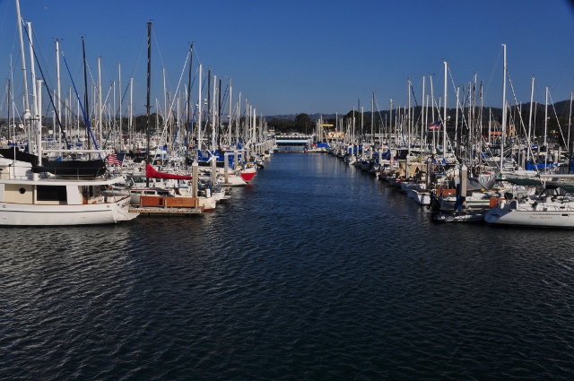 Monterey marina